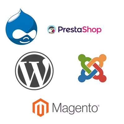 Content Management System (CMS)