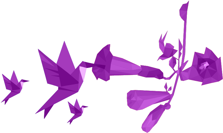colibri_fleur
